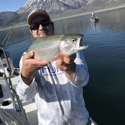 Approaches for Crowley Lake Fishing